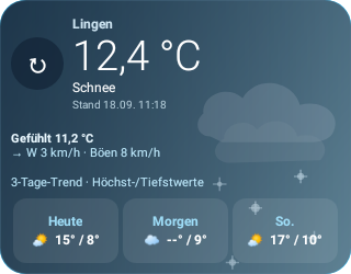 Widget-Testansicht: Schnee